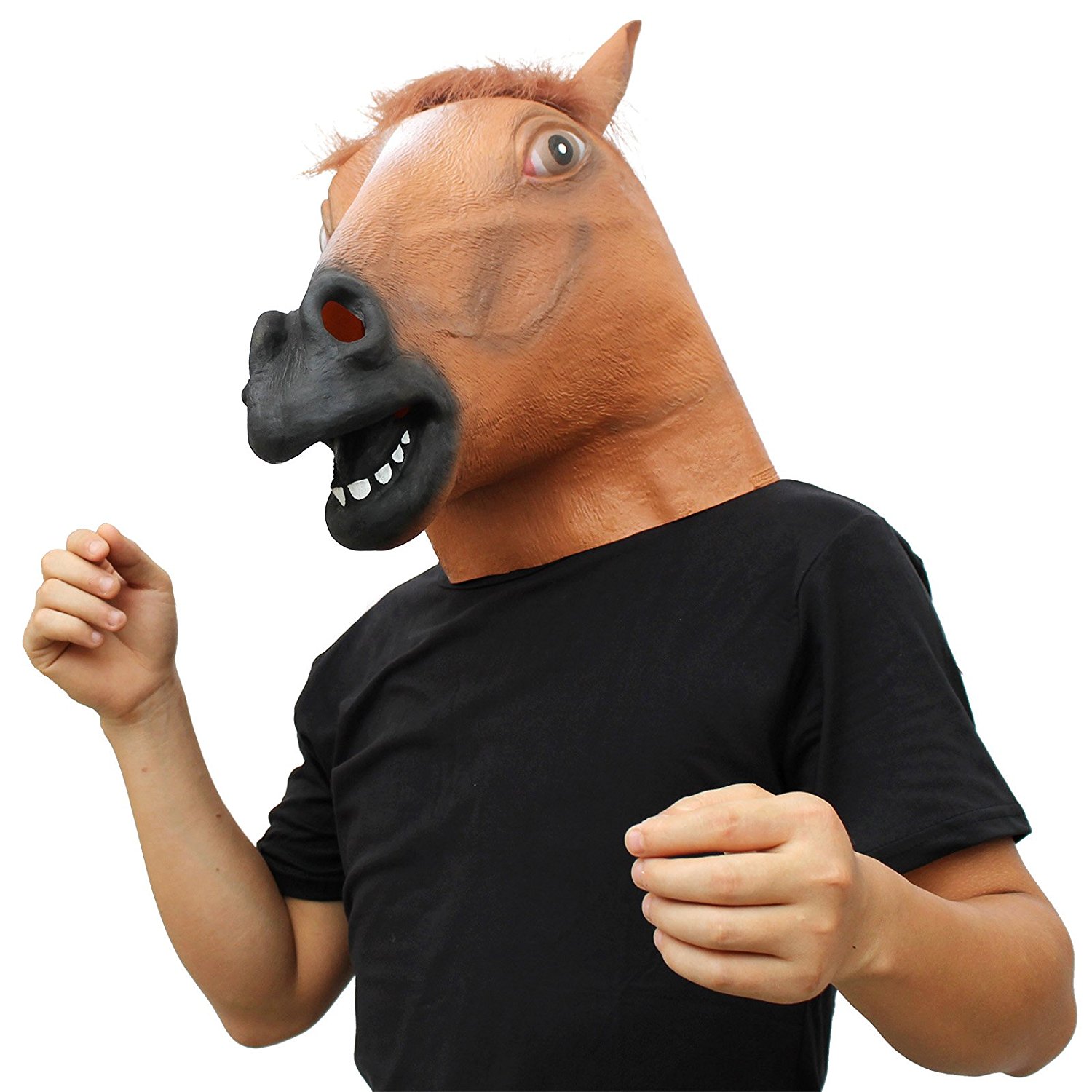 zirga galva kā maska
