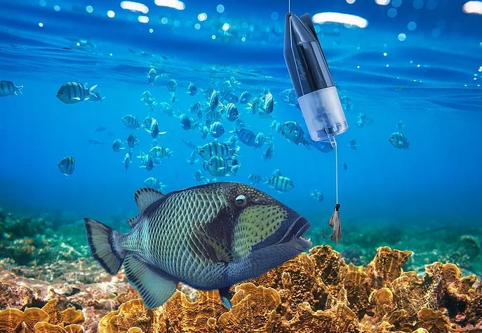 zemūdens zivju kamera